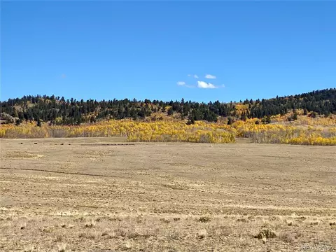 469 Link Rd, Como, CO 80432 photo 28