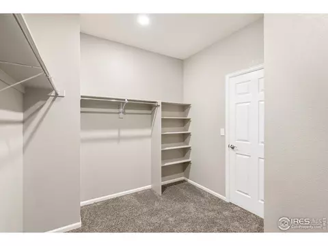 876 Camberly Dr, Windsor, CO 80550 photo 21