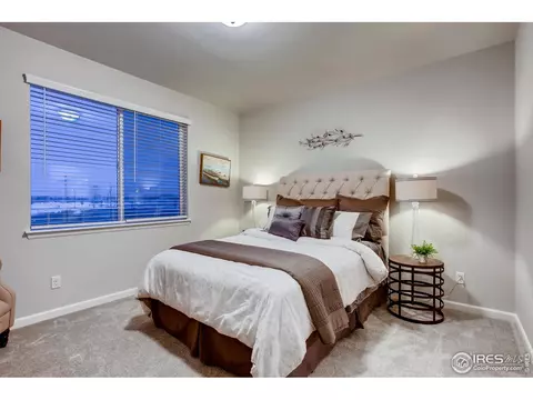 264 Veronica Dr, Windsor, CO 80550 photo 19