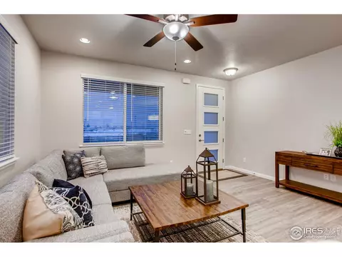 264 Veronica Dr, Windsor, CO 80550 photo 7