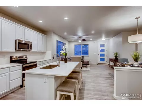 264 Veronica Dr, Windsor, CO 80550 photo 13