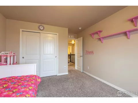 7408 Rosecroft Dr, Windsor, CO 80550 photo 28