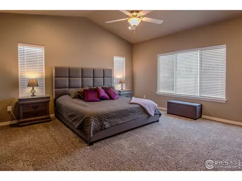 5725 Maidenhead Dr, Windsor, CO 80550 photo 17