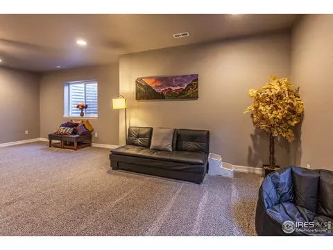 5725 Maidenhead Dr, Windsor, CO 80550 photo 29