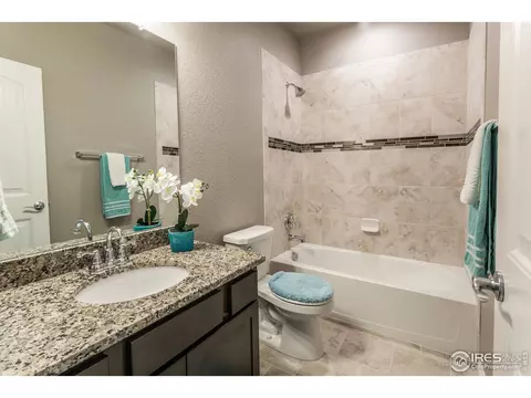 5725 Maidenhead Dr, Windsor, CO 80550 photo 24