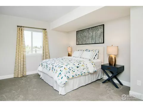 531 E Michigan Ave, Berthoud, CO 80513 photo 29