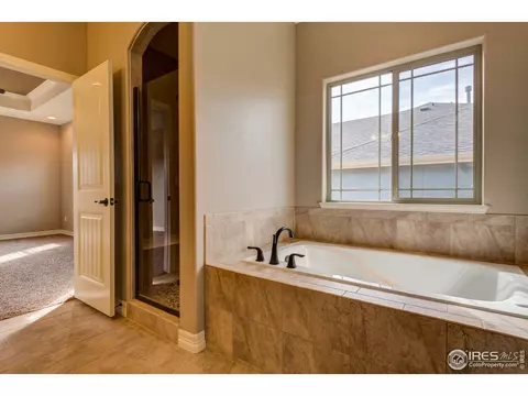 5260 Kellan Ct, Timnath, CO 80547 photo 29