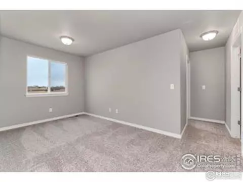 4560 Binfield Dr, Windsor, CO 80550 photo 16
