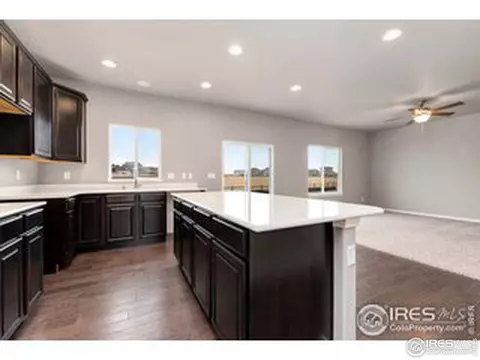 4739 Waltham Dr, Windsor, CO 80550 photo 6
