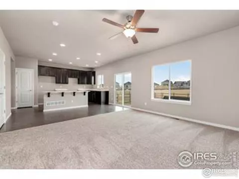 4739 Waltham Dr, Windsor, CO 80550 photo 10