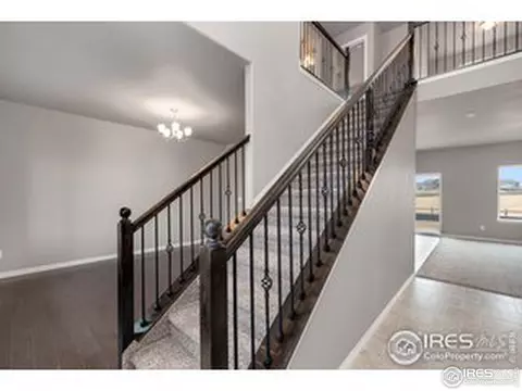 4739 Waltham Dr, Windsor, CO 80550 photo 5