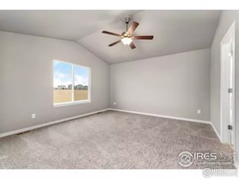 4739 Waltham Dr, Windsor, CO 80550 photo 17