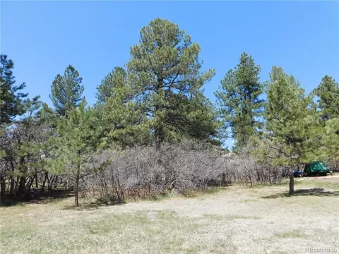 7347 Fremont Pl, Larkspur, CO 80118