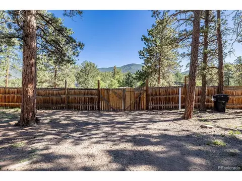 154 Cowan Rd, Bailey, CO 80421 photo 6