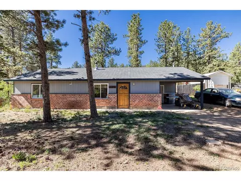 154 Cowan Rd, Bailey, CO 80421 photo 3