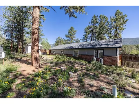 154 Cowan Rd, Bailey, CO 80421 photo 24