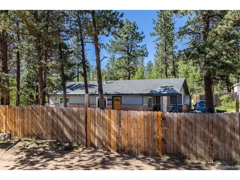 154 Cowan Rd, Bailey, CO 80421 photo 21