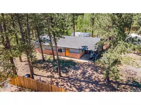 154 Cowan Rd, Bailey, CO 80421 photo 4
