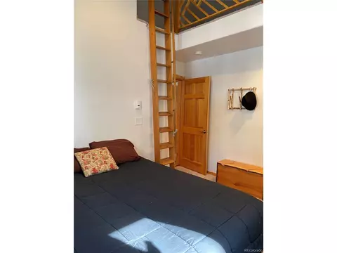 143 N Oak St, Alma, CO 80420 photo 18