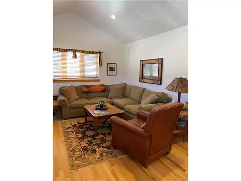 143 N Oak St, Alma, CO 80420 photo 27