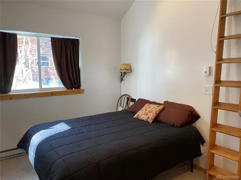 143 N Oak St, Alma, CO 80420 photo 11
