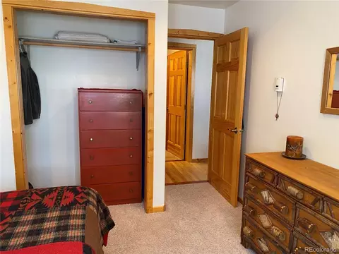143 N Oak St, Alma, CO 80420 photo 22