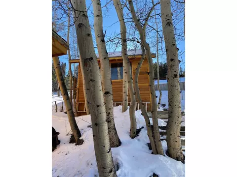 143 N Oak St, Alma, CO 80420 photo 12