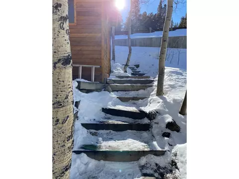 143 N Oak St, Alma, CO 80420 photo 13