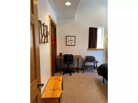 143 N Oak St, Alma, CO 80420 photo 24