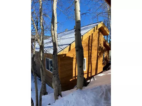 143 N Oak St, Alma, CO 80420 photo 15
