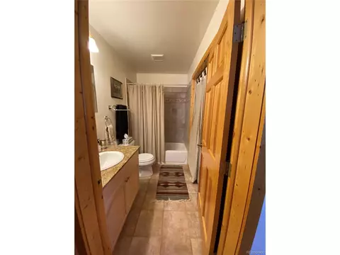 143 N Oak St, Alma, CO 80420 photo 30