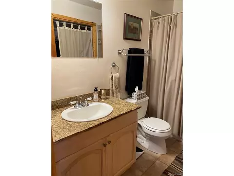 143 N Oak St, Alma, CO 80420 photo 21