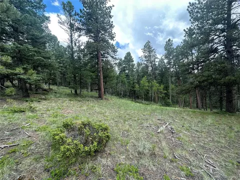 0 Insmount Ln, Florissant, CO 80816