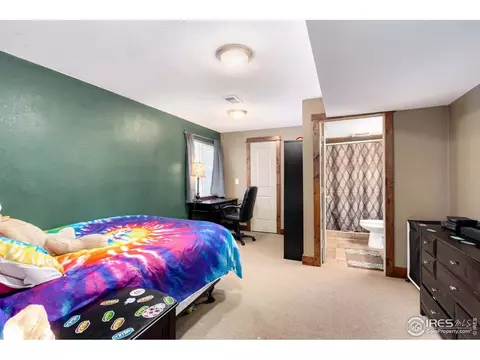 1908 Mahogany Way, Severance, CO 80550 photo 21