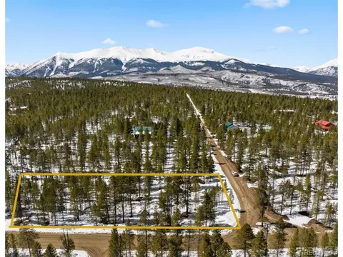 474 Peak View Dr, Twin Lakes, CO 80461