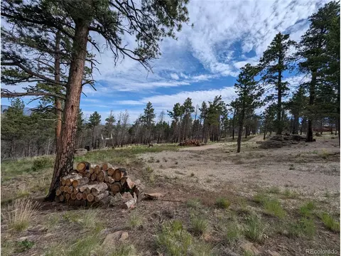 514 Leslie Loop, Fort Garland, CO 81133