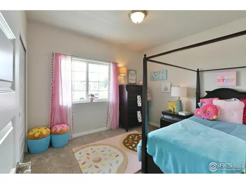 4748 Romney Lock Dr, Windsor, CO 80550 photo 5