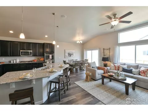 4748 Romney Lock Dr, Windsor, CO 80550 photo 21