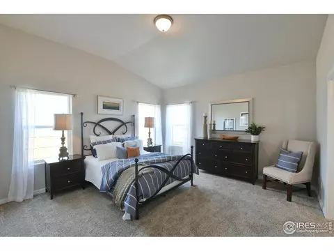 4748 Romney Lock Dr, Windsor, CO 80550 photo 19