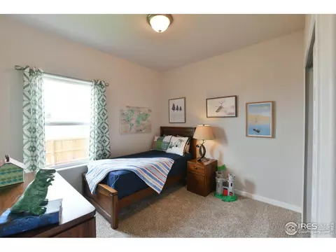 4748 Romney Lock Dr, Windsor, CO 80550 photo 9