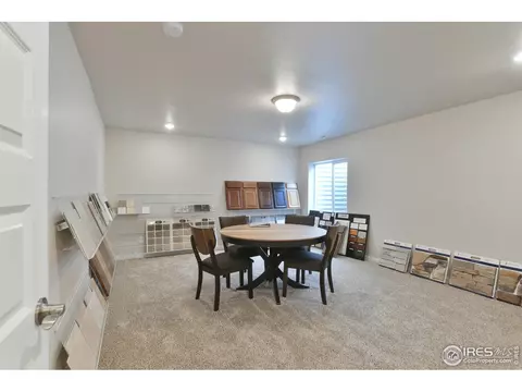 4748 Romney Lock Dr, Windsor, CO 80550 photo 27