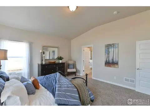 4748 Romney Lock Dr, Windsor, CO 80550 photo 20
