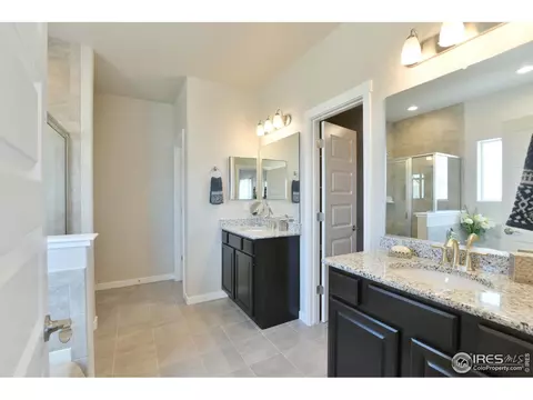 4748 Romney Lock Dr, Windsor, CO 80550 photo 18