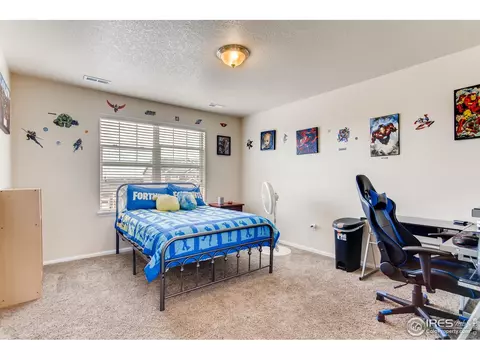 5383 E 140th Pl, Thornton, CO 80602 photo 19