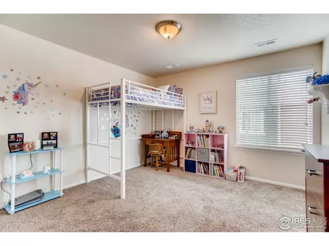 5383 E 140th Pl, Thornton, CO 80602 photo 18