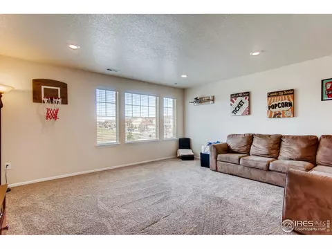 5383 E 140th Pl, Thornton, CO 80602 photo 20