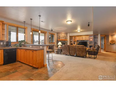 37181 Soaring Eagle Cir, Severance, CO 80550 photo 24