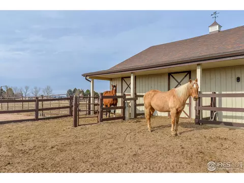 37181 Soaring Eagle Cir, Severance, CO 80550 photo 10