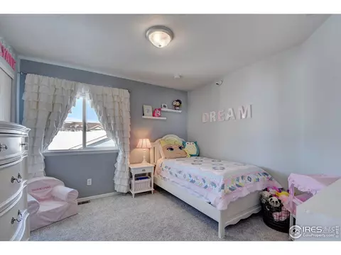 10688 Echo St, Longmont, CO 80504 photo 28