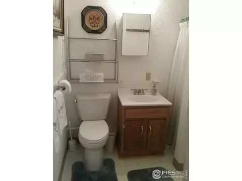 635 Lake Dr, Lyons, CO 80540 photo 31